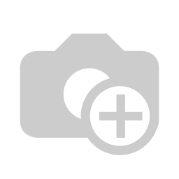 Lan Samurai IT logo